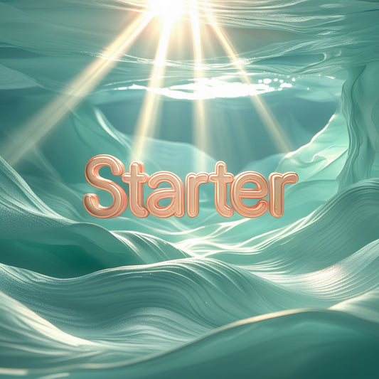 Starter